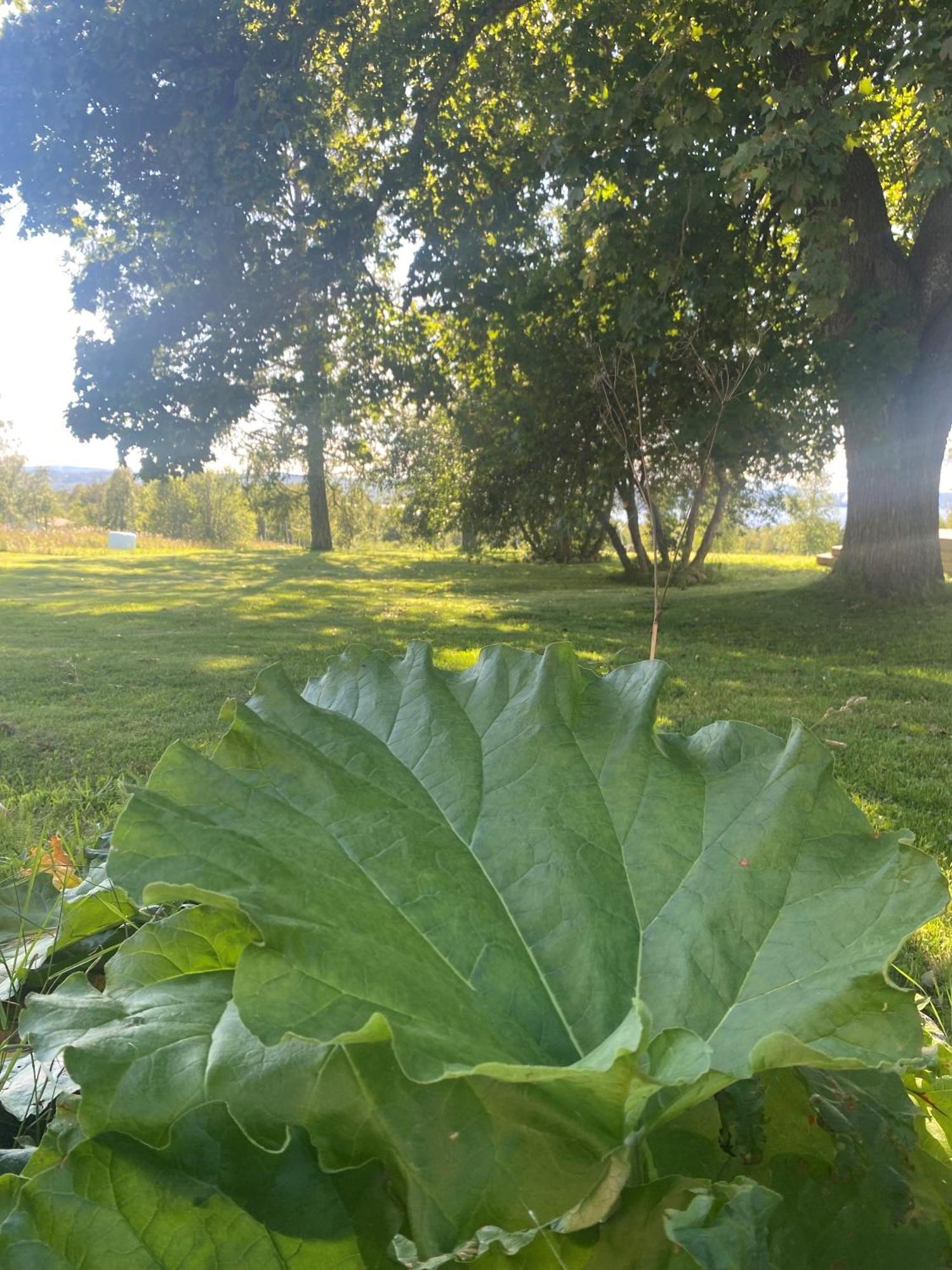 Villa Gasabaeck Soraker Dış mekan fotoğraf
